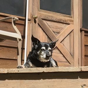 Meet your Posher, Kelly